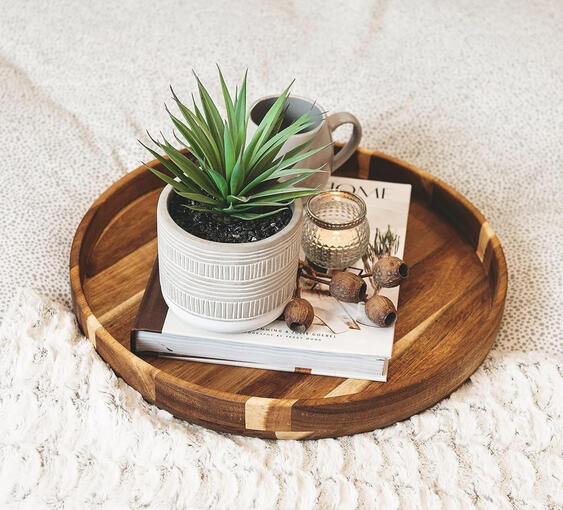 Small, lifelike succulent in ceramic pot, perfect for a fresh, low-maintenance accent beside the bed.